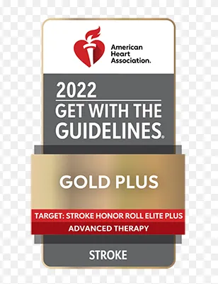 Fourteenth consecutive Stroke Gold Plus and Target: Stroke Honor Roll Elite Plus awards