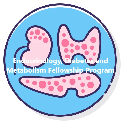 Endocrinology, Diabetes and Metabolism Fellowship