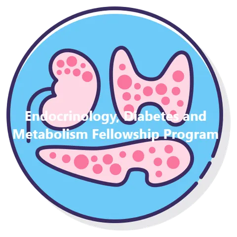Endocrinology, Diabetes and Metabolism Fellowship